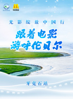 成版人短视频app