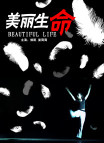 午夜免费小视频