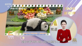 伊人久久艹